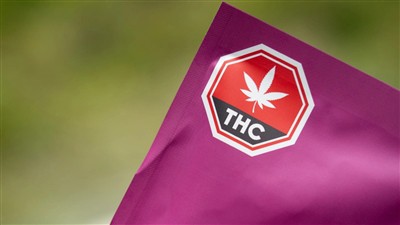 Mengapa industri ganja mesti mengguna pakai pelabelan potensi THC{0}}piawai